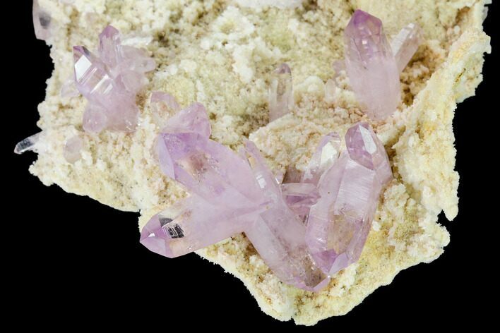 Pristine, Amethyst Crystal Cluster - Las Vigas, Mexico #165626